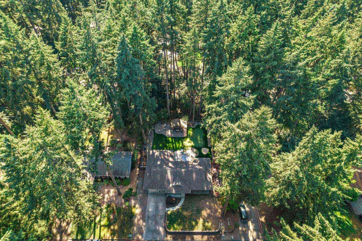 The image shows a backyard patio adjacent to a house, surrounded by lush greenery and tall trees. The open space is inviting and perfect for pets to run, play, or relax in the sun. The tranquil setting highlights the secure and private environment of the outdoor area.